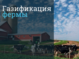 Сколько стоит газификация фермы в Сургуте? Стоимость газификации в Сургуте